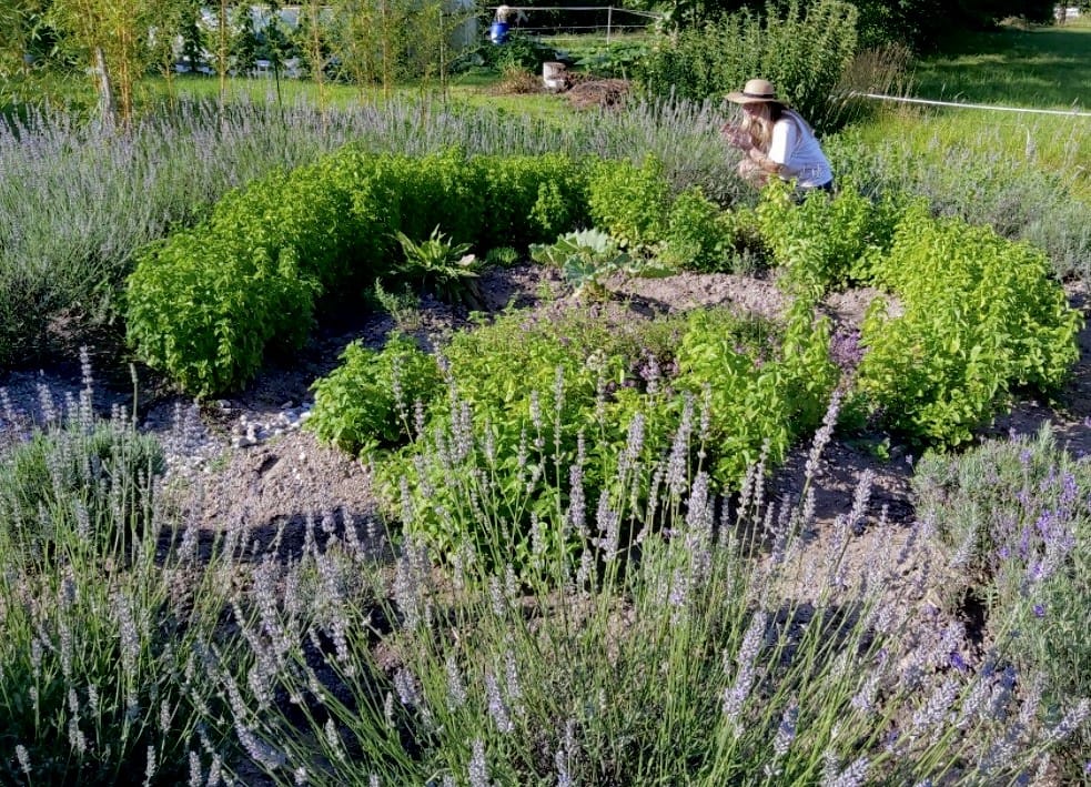 Kako se je OTTA zgodba zacela OTTA® sirupi 1