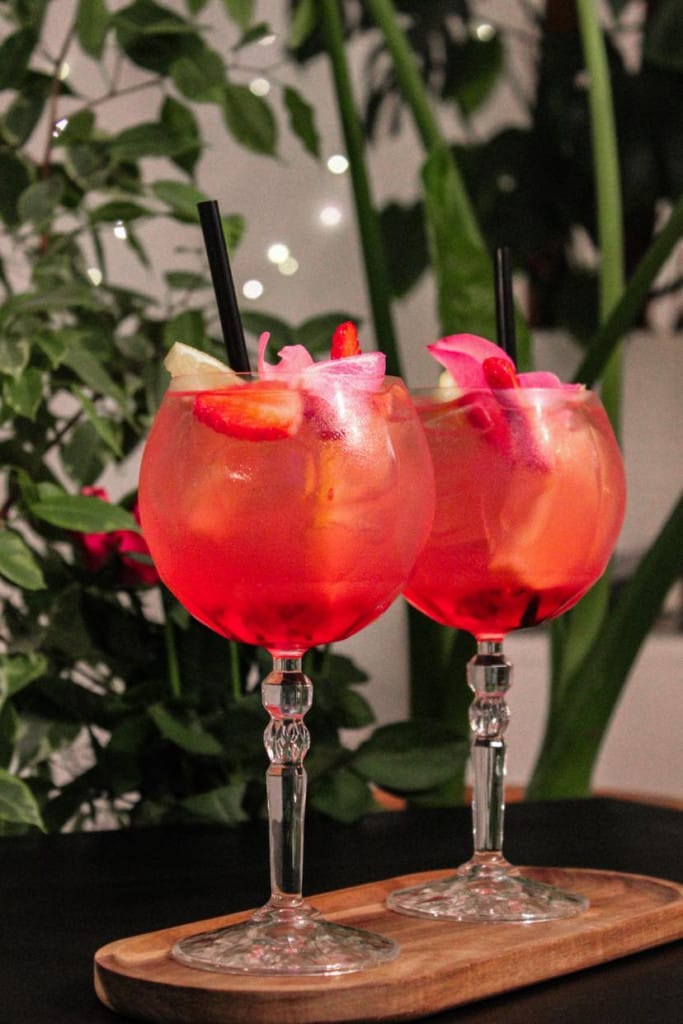 Gin tonik z vrtnico OTTA® sirup vrtnica
